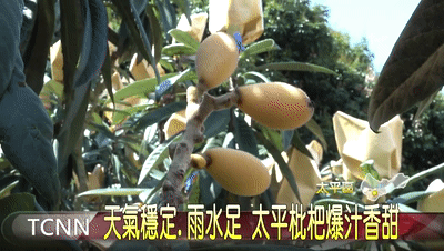 082034741b2cce03b73346cee79436bf.gif