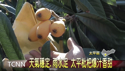 2a0dd5a7751ff973386b2fc0b66b4e1a.gif