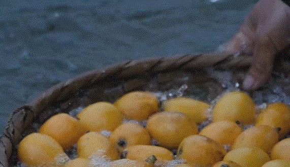 1426ae76b9f18d37b13db2948b39f983.gif